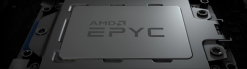 AMD Processor (CPU) 100000000055